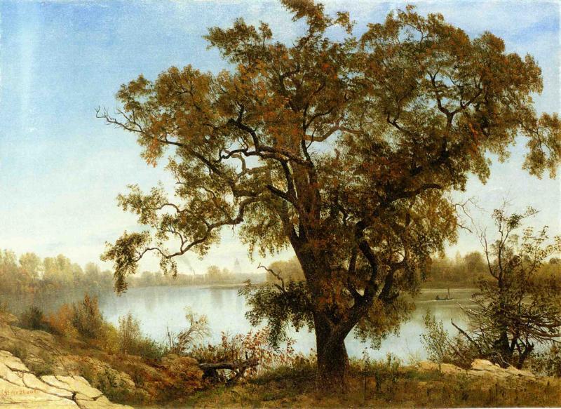 Albert Bierstadt A View From Sacramento oil painting picture